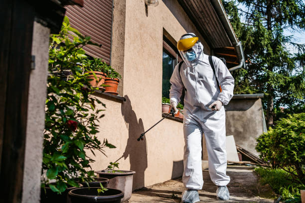 Best Best Pest Control Companies  in Adamstown, MD