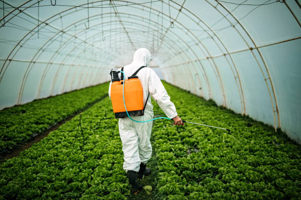 Best Best Pest Control Companies  in Adamstown, MD