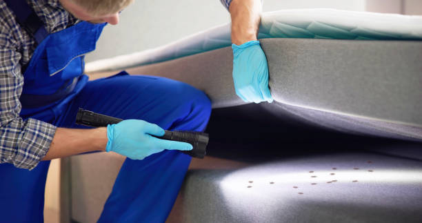 Best Affordable Pest Control Services  in Adamstown, MD