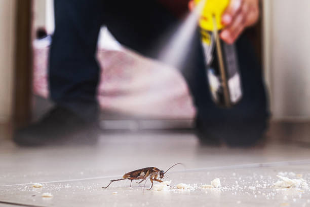 Wildlife Control Services in Adamstown, MD