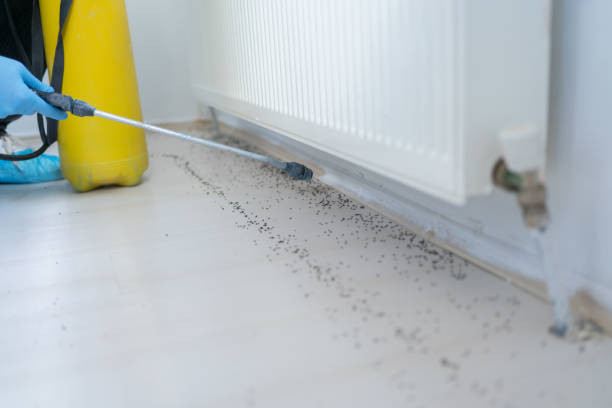 Best Pest Control for Businesses  in Adamstown, MD