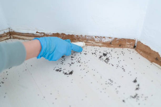 Pest Control Cost in Adamstown, MD